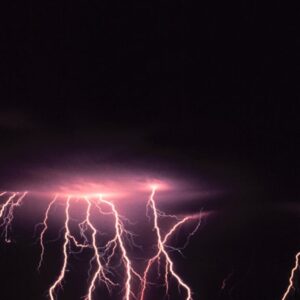 creating a stunning natural scene.